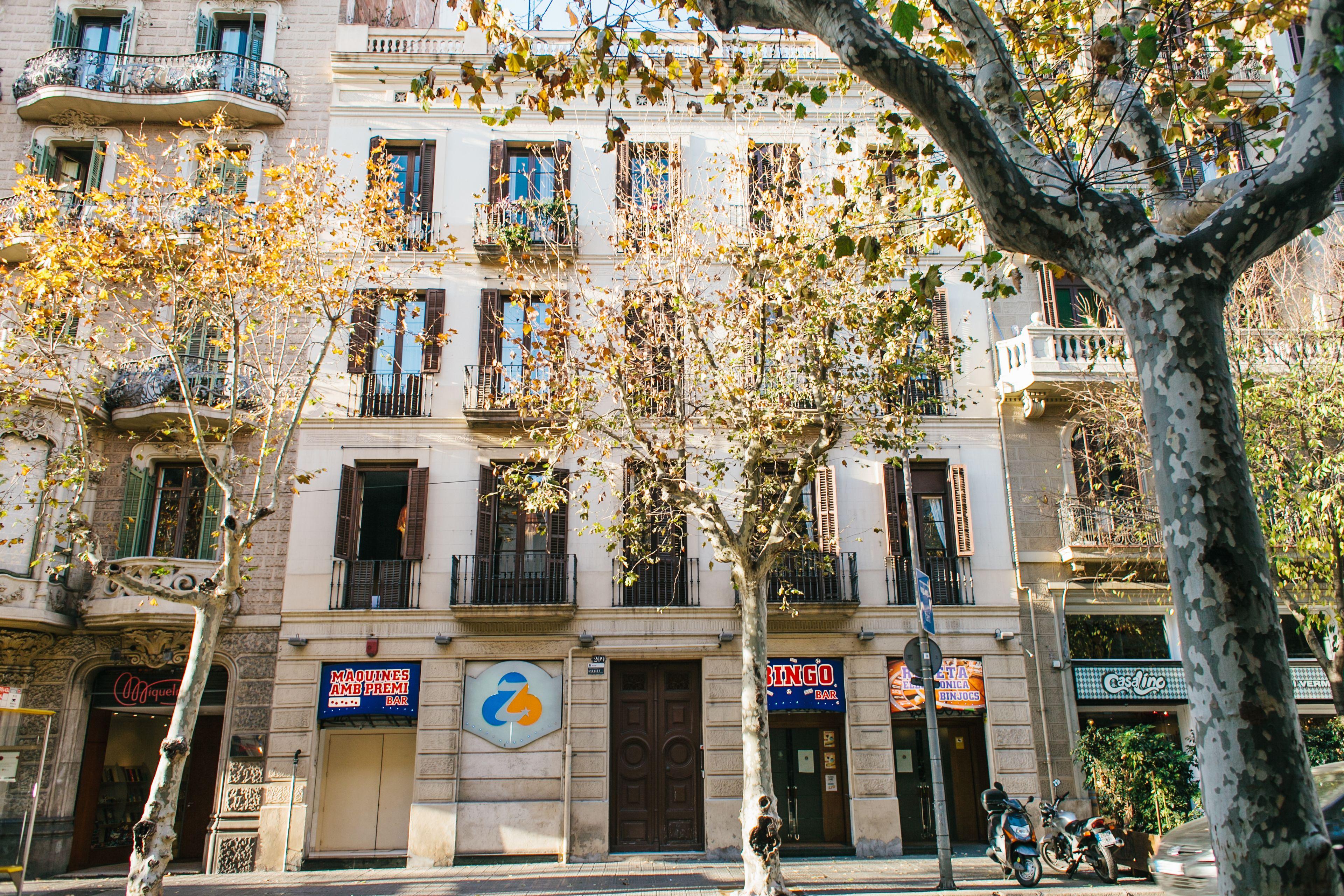 Zoorooms Boutique Guesthouse — Foto’s 2